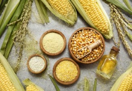 野油菜黄单孢菌发酵产生的复合多糖体——黄原胶（上）