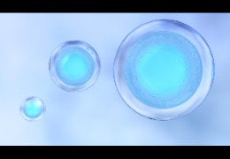 银耳多糖（TFPS）在抗光老化中的应用研究（下）