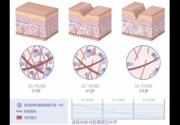 成分党该怎么选含有乙酰壳糖胺的化妆品？